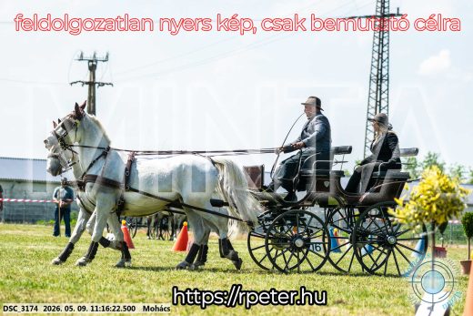 Mintakép 20260509-216