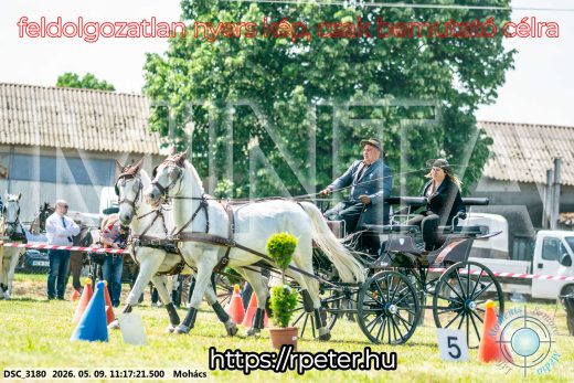 Mintakép 20260509-220