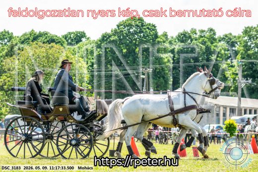 Mintakép 20260509-221