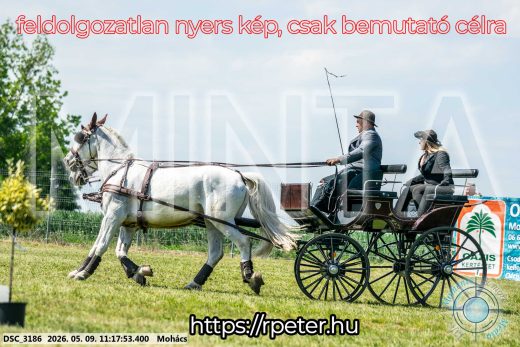 Mintakép 20260509-223