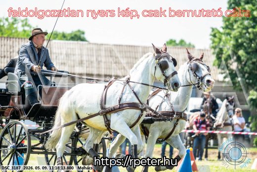 Mintakép 20260509-224