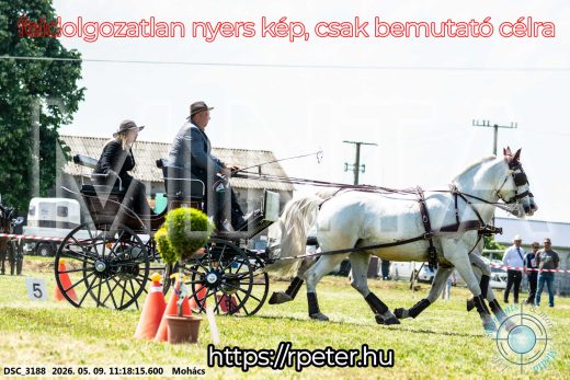 Mintakép 20260509-225