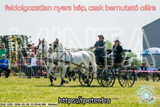 Mintakép 20260509-226