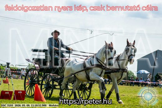 Mintakép 20260509-228