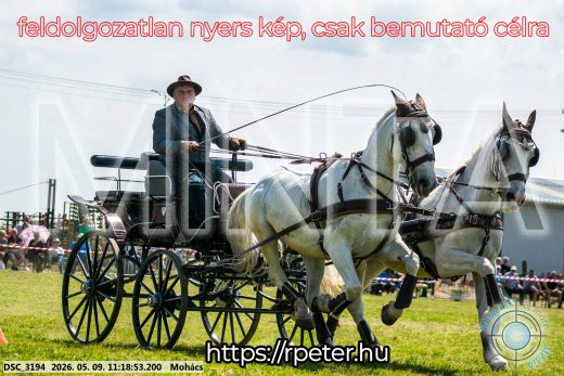 Mintakép 20260509-229