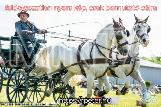 Mintakép 20260509-230