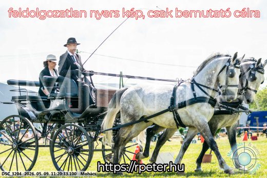 Mintakép 20260509-234
