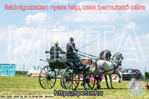 Mintakép 20260509-235