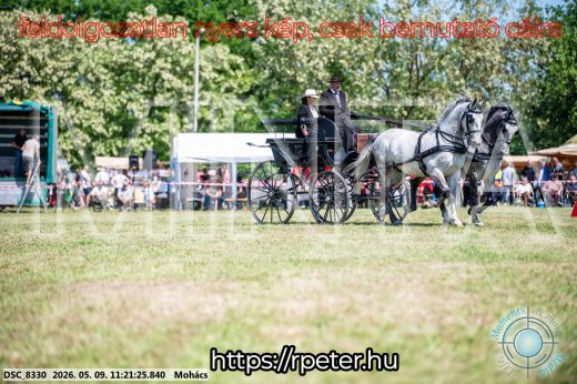 Mintakép 20260509-237