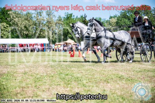 Mintakép 20260509-238