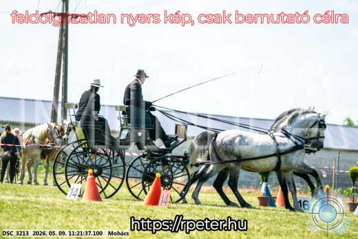 Mintakép 20260509-239