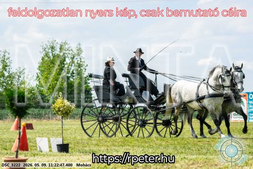 Mintakép 20260509-243