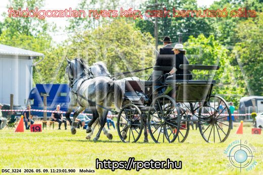 Mintakép 20260509-244
