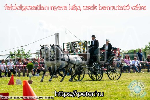 Mintakép 20260509-245