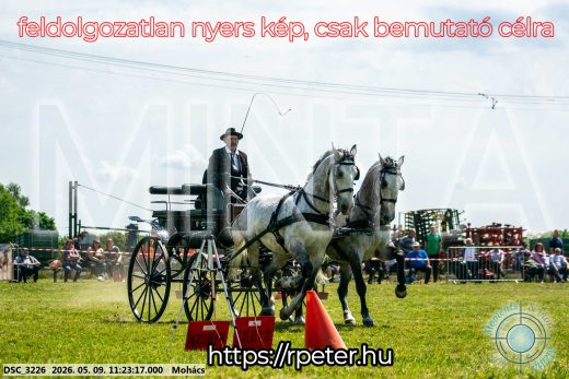 Mintakép 20260509-246