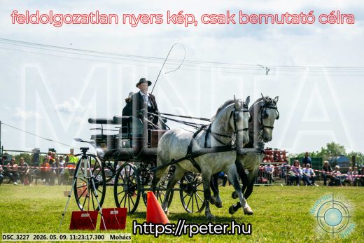 Mintakép 20260509-247