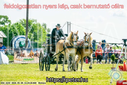 Mintakép 20260509-252