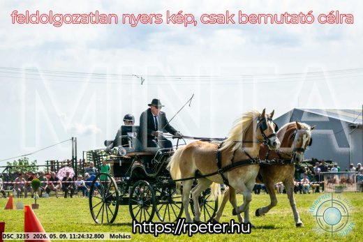Mintakép 20260509-253