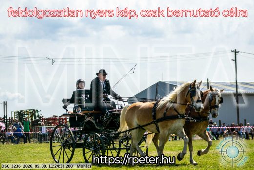 Mintakép 20260509-254