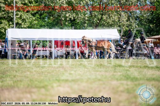 Mintakép 20260509-256