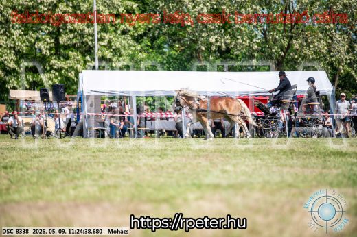 Mintakép 20260509-257