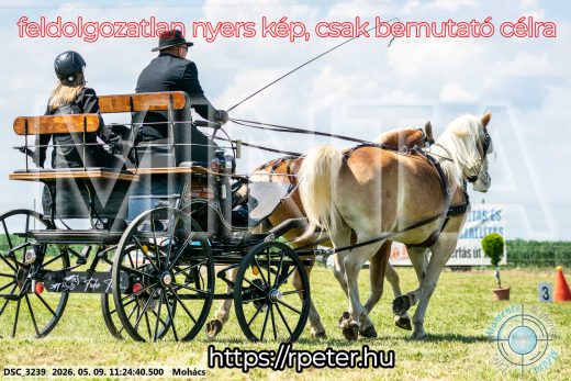 Mintakép 20260509-259