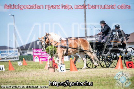 Mintakép 20260509-261