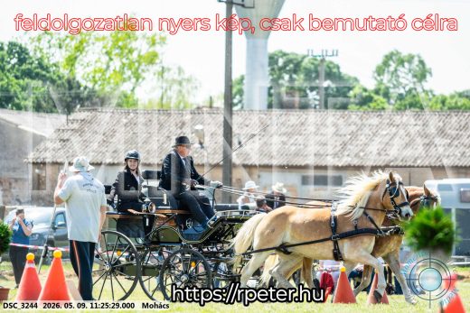 Mintakép 20260509-263
