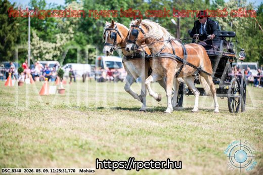 Mintakép 20260509-264