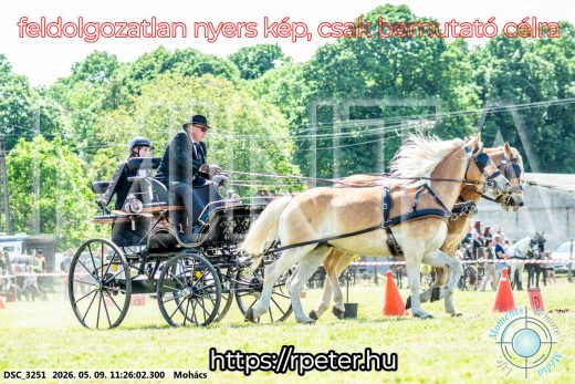 Mintakép 20260509-268