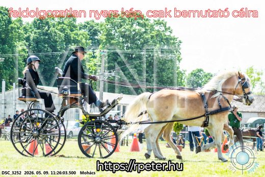 Mintakép 20260509-269
