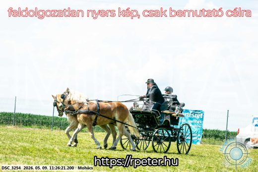 Mintakép 20260509-270