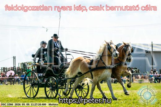 Mintakép 20260509-275