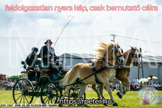 Mintakép 20260509-276