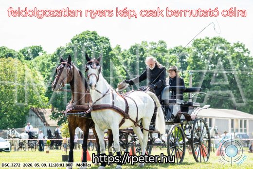 Mintakép 20260509-278