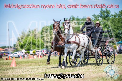 Mintakép 20260509-279
