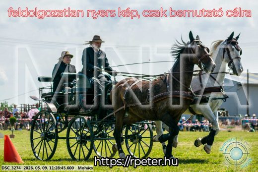 Mintakép 20260509-282