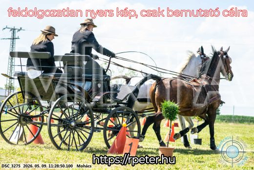 Mintakép 20260509-283