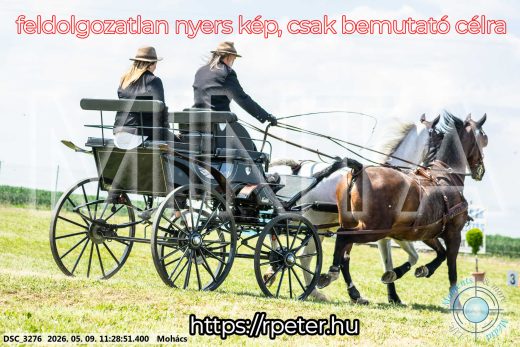 Mintakép 20260509-284