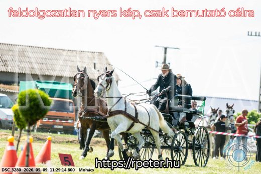 Mintakép 20260509-285
