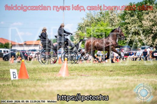Mintakép 20260509-288