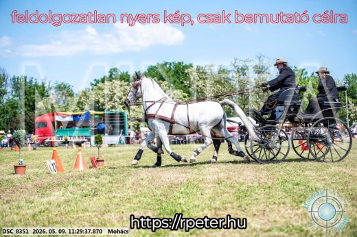 Mintakép 20260509-289
