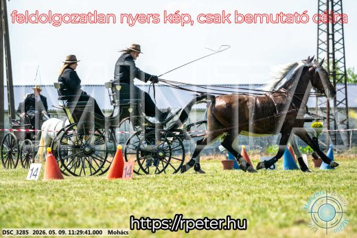Mintakép 20260509-290