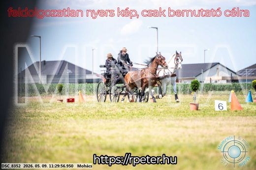 Mintakép 20260509-293