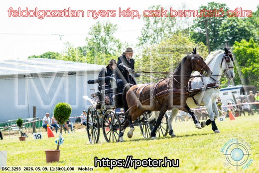 Mintakép 20260509-295