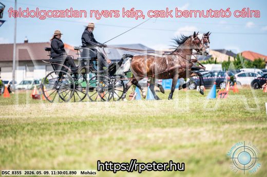 Mintakép 20260509-297