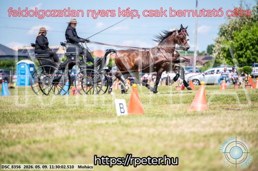Mintakép 20260509-299