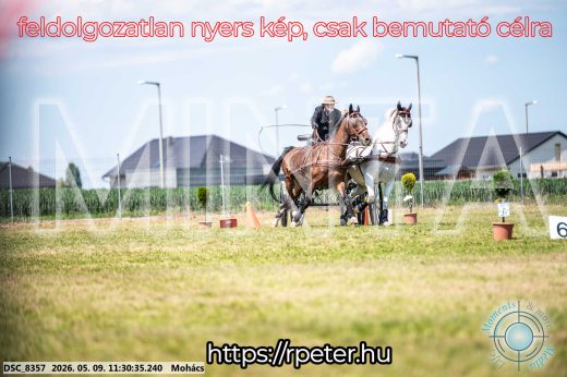 Mintakép 20260509-301
