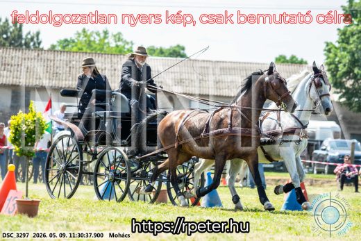 Mintakép 20260509-302