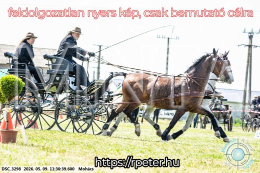 Mintakép 20260509-303